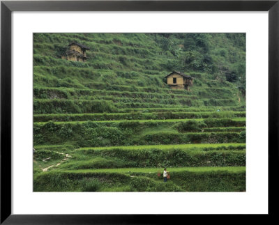 Yang River Canyon, Shaoguan Area, Guangdong Province, China by Raymond Gehman Pricing Limited Edition Print image
