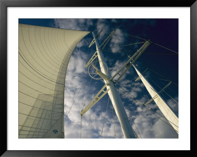 Upward View Of A Sailboat With The Mainsail Full Of Wind by Todd Gipstein Pricing Limited Edition Print image