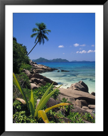 Tropical Beach, La Digue Island, Seychelles by Angelo Cavalli Pricing Limited Edition Print image