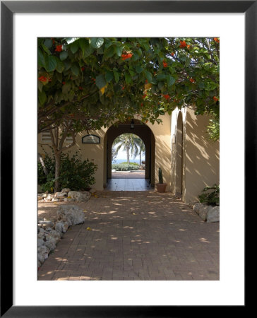 Archway To Pool At Tierra Del Sol Golf Club And Spa, Aruba, Caribbean by Lisa S. Engelbrecht Pricing Limited Edition Print image