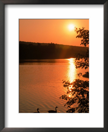 Sunset Over Hopedale Pond & Geese, Hopedale, Ma by Ed Langan Pricing Limited Edition Print image