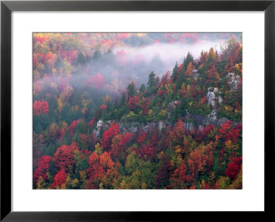 Blackwater Canyon, Wv by Robert Finken Pricing Limited Edition Print image