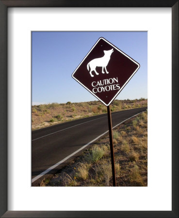 Coyote Crossing Street Sign On Desert Road by Yvette Cardozo Pricing Limited Edition Print image