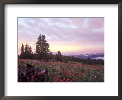 Shrine Pass, Vail, Co by Karen Schulman Pricing Limited Edition Print image