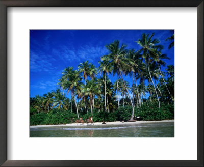 One Of Many Palm Fringed Beaches On Tindare Island, Togos Os Santos Bay, Itaparica, Brazil by Manfred Gottschalk Pricing Limited Edition Print image
