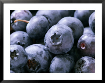 Blueberries by Susie Mccaffrey Pricing Limited Edition Print image