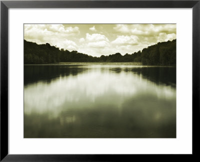 Water Reflecting Bordering Trees And Sky by Jan Lakey Pricing Limited Edition Print image