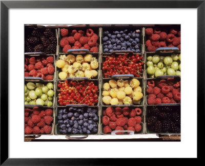 Various Berries by Martina Meuth Pricing Limited Edition Print image