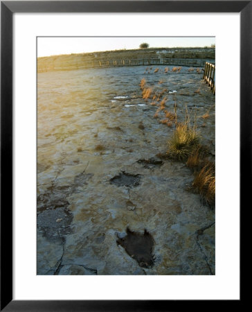 Dinosaur Tracks, Clayton Lake State Park, New Mexico, Usa by Ethel Davies Pricing Limited Edition Print image