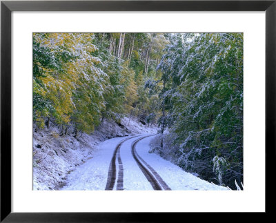 Winter Snow Covers A Road In The Mt. Sneffels Wilderness, San Juan National Forest, Colorado by Greg Gawlowski Pricing Limited Edition Print image