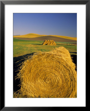 Hay Bales In Field, Palouse, Washington, Usa by Terry Eggers Pricing Limited Edition Print image