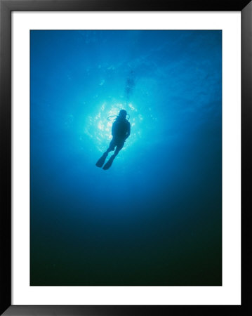 A Diver Descends Into The Caribbean by Heather Perry Pricing Limited Edition Print image