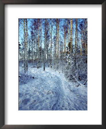 Sweden, Torso, Lake Vanern, Trail by James Denk Pricing Limited Edition Print image