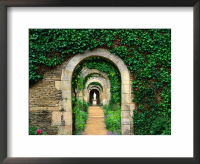 Ivy And Arches At Les Chartreuses Walled Gardens, Coupesarte, Basse-Normandy, France by Diana Mayfield Pricing Limited Edition Print image