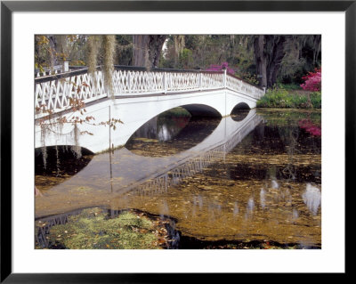 Long White Bridge Over Pond, Magnolia Plantation And Gardens, Charleston, South Carolina, Usa by Julie Eggers Pricing Limited Edition Print image