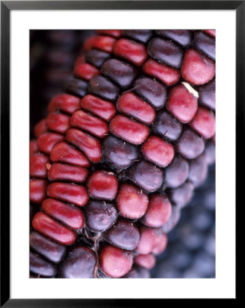 Closeup Of Dried Corn by Fogstock Llc Pricing Limited Edition Print image