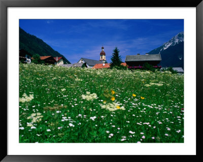 Field Of Flowers, Austria by Chris Mellor Pricing Limited Edition Print image