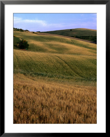 Rolling Hills Of Tuscan Countryside, Italy by Bethune Carmichael Pricing Limited Edition Print image