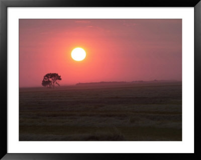 Sunset Over Land, Manitoba Prairie by Keith Levit Pricing Limited Edition Print image