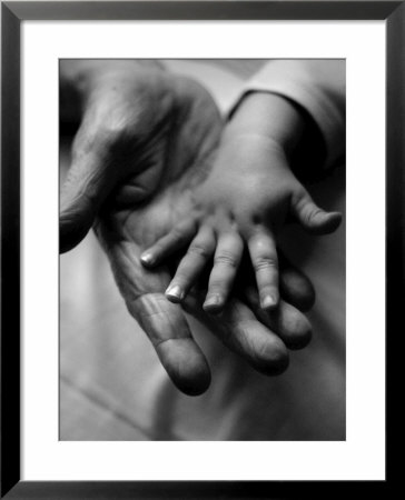 Adult And Child Hands by Lara Jade Coton Pricing Limited Edition Print image