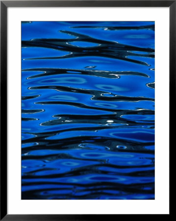 Waters Of Baltra Harbour, Ecuador by Richard I'anson Pricing Limited Edition Print image
