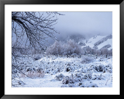 Fresh Snow On Meadow, Aspen, Co by Hal Gage Pricing Limited Edition Print image