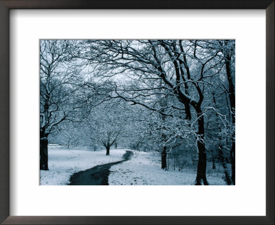 Hampstead Heath In Winter, London, England by Lawrence Worcester Pricing Limited Edition Print image