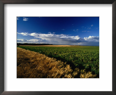 Farmland Between Crail And Kingbarns, Crail, Fife, Scotland by Jon Davison Pricing Limited Edition Print image