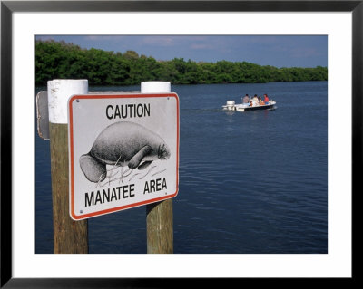 Manatee Warning Sign, Palm Island, Fl by Jeff Greenberg Pricing Limited Edition Print image
