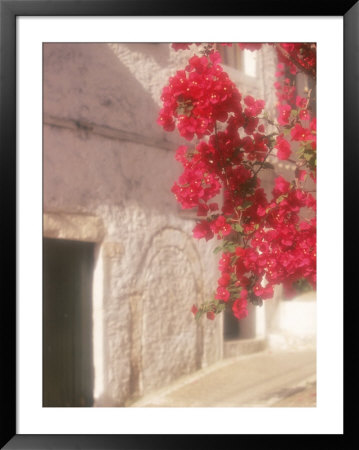 Red Flowers & Building, Epirus, Greece by Walter Bibikow Pricing Limited Edition Print image