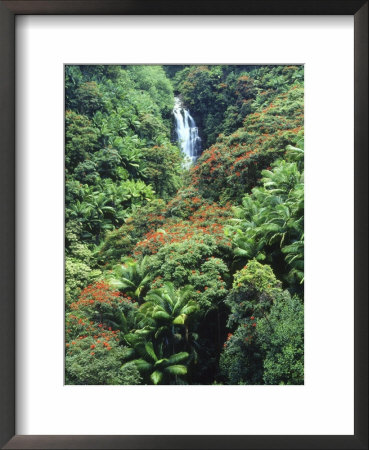 Waterfall In A Tropical Rain Forest, Hawaii, Usa by Christopher Talbot Frank Pricing Limited Edition Print image