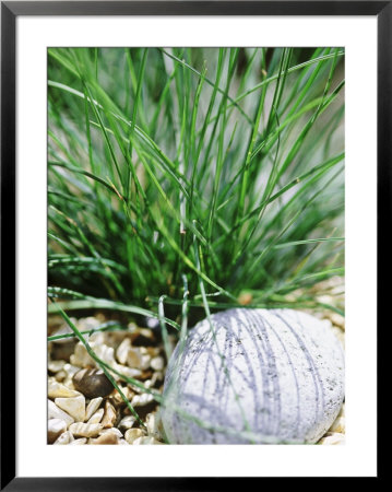 Stone, Gravel And Grass, Chelsea Flower Show 2000 by Juliet Greene Pricing Limited Edition Print image