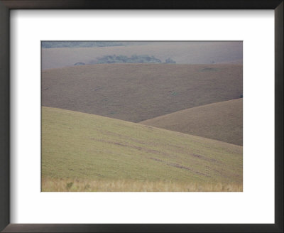 Scenic View Of Gentle Rolling Hills by Bill Curtsinger Pricing Limited Edition Print image