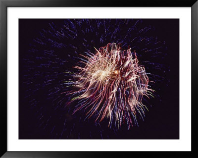 A View Of Wriggling Fireworks by Todd Gipstein Pricing Limited Edition Print image