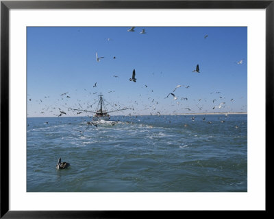 A Fishing Boat Attracts Flocks Of Sea Birds by Stephen Alvarez Pricing Limited Edition Print image