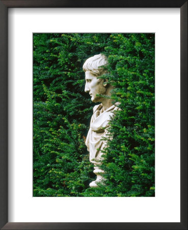 Side Profile Of Roman Bust In Hedge, Groombridge, East Sussex by Juliet Greene Pricing Limited Edition Print image