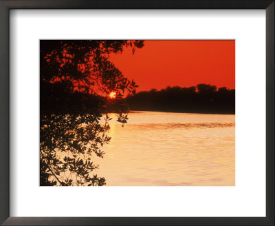Trees Near Water At Sunset - Key West, Fl by Larry Lipsky Pricing Limited Edition Print image