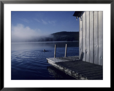 A Woman Swims In A Lake On An Early Morning Summer Day, Quebec, Canada by Taylor S. Kennedy Pricing Limited Edition Print image