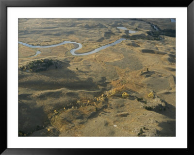 Aerial Of Aspen Trees And Fall Colors In Lamar Valley by Norbert Rosing Pricing Limited Edition Print image