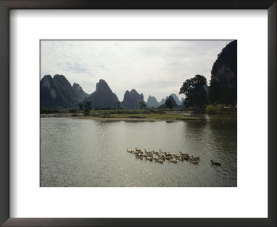 Ducks Swimming In The Li River With Karst Formations In The Background by Luis Marden Pricing Limited Edition Print image
