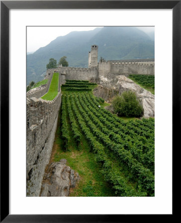 Castelgrande Vineyards And Fortified Walls, Bellinzona, Switzerland by Lisa S. Engelbrecht Pricing Limited Edition Print image