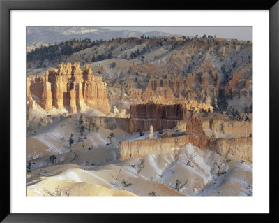 Panoramic View Over Bryce Canyon National Park In Winter by Norbert Rosing Pricing Limited Edition Print image