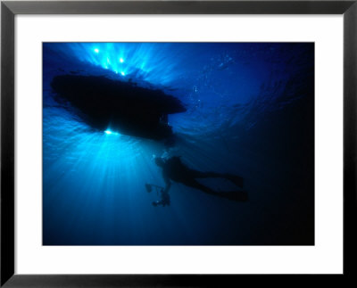 Diver Underneath Boat With Sunlight, Leigh, New Zealand by Jenny & Tony Enderby Pricing Limited Edition Print image