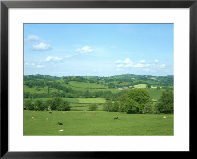 Rolling Green Fields Of Wales, Powys, Uk by Mike Slater Pricing Limited Edition Print image