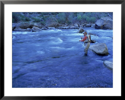 Mature Man Fly-Fishing, West Walker River, Ca by David Porter Pricing Limited Edition Print image