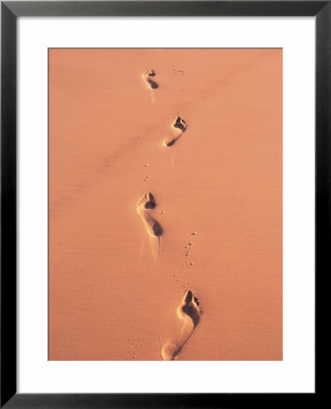 Footsteps In Sand, Australia by Jacob Halaska Pricing Limited Edition Print image