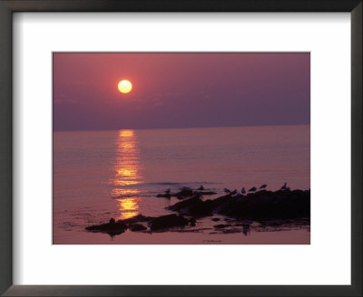 Sunrise, Bornholm, Denmark by Tina Buckman Pricing Limited Edition Print image