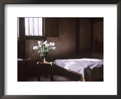 Lilies In Jug Bedroom by Jacqui Hurst Pricing Limited Edition Print image