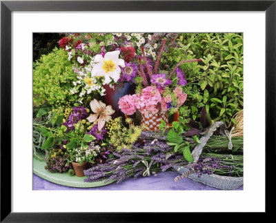 Herbs Around Bell Jar, Mint, Oregano, Basil & Lemon Balm With Rosa, Calendula & Nicotiana by Linda Burgess Pricing Limited Edition Print image