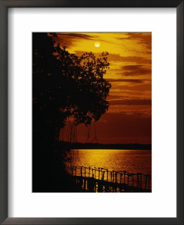 Puerto Escondido, Mexico by Angelo Cavalli Pricing Limited Edition Print image